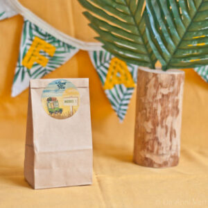 Sac kraft d'anniversaire Safari