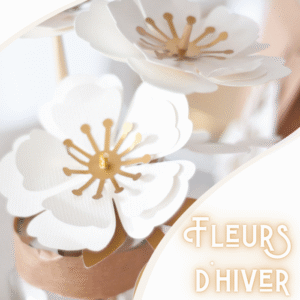 Fleurs d'hiver