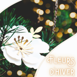 Déco de sapin fleurs d'hiver