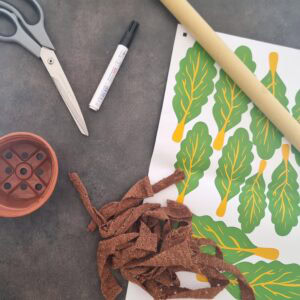 DIY Mandragore Harry Potter : matériel zéro déchet