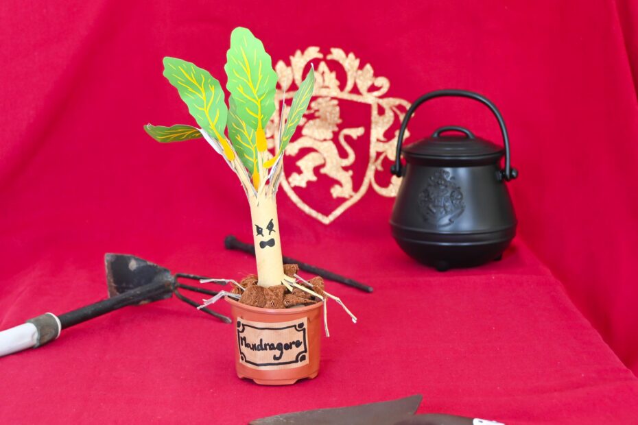 Déco Harry Potter : Fabriquer une mandragore facile et zéro déchet